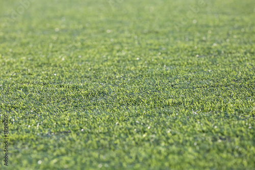 Artificial green lawn. Background. The texture of the grass.