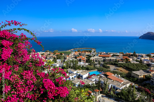 Fototapeta Naklejka Na Ścianę i Meble -  Bougainvillea is a tropical plant genus in the carnation order of the miracle flower family. There are vines that climb using stalk thorns. - Vacation to the Greek island of Crete in the Mediterranean