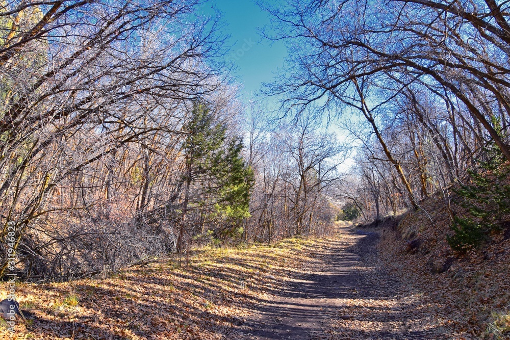 Hiking Trails in Oquirrh, Wasatch, Rocky Mountains in Utah Late Fall with leaves. Backpacking, biking, horseback through trees in the Yellow Fork and Rose Canyon by Salt Lake City. United States of Am Hiking Trails in Oquirrh, Wasatch, Rocky Mountains in Utah Late Fall with leaves. Backpacking, biking, horseback through trees in the Yellow Fork and Rose Canyon by Salt Lake City. United States of Am