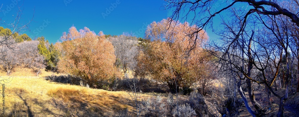 Hiking Trails in Oquirrh, Wasatch, Rocky Mountains in Utah Late Fall with leaves. Backpacking, biking, horseback through trees in the Yellow Fork and Rose Canyon by Salt Lake City. United States of Am Hiking Trails in Oquirrh, Wasatch, Rocky Mountains in Utah Late Fall with leaves. Backpacking, biking, horseback through trees in the Yellow Fork and Rose Canyon by Salt Lake City. United States of Am
