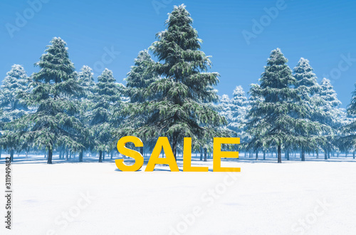 Sale Text in Snow, Sales Winter Concept, 3D Rendering