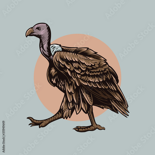 ostrich bird ostrich isolated vector illustration design
