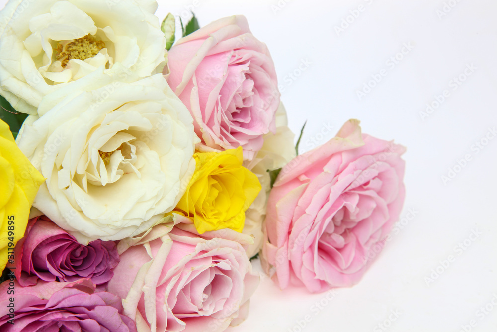 薔薇の花束 薔薇の花束