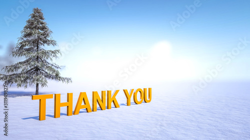 Thank You Text in Snow, Winter Concept, 3D Rendering