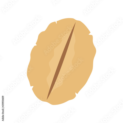 Oat flake isolated on white background