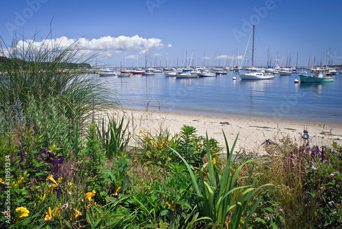 Seaport View Mathas Vinyard