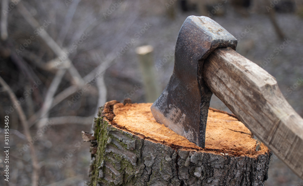 Axe on the stump,felling of firewood,old ax with wooden handle Axe on the stump,felling of firewood,old ax with wooden handle