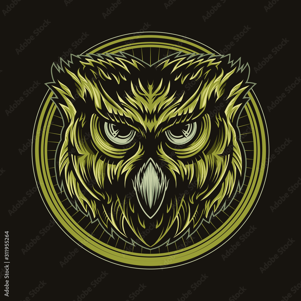 owl head vector illustration design isolated on dark background owl head vector illustration design isolated on dark background