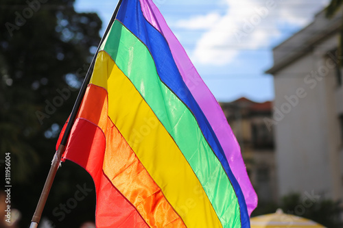 Isolated LGBT flag (ID: 311956004)