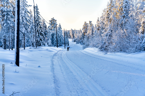 Skiing in a winter landscape in Orsa, Sweden photo