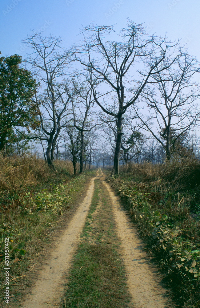 Landscape of Chiwan National Park, Nepal.