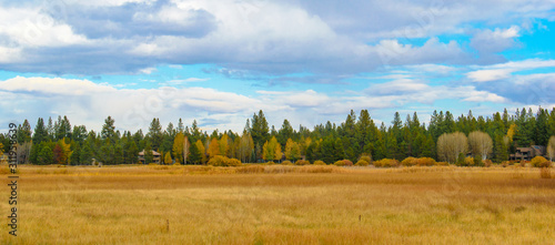Gorgeous Autumn Meadow in Sunriver Oregon