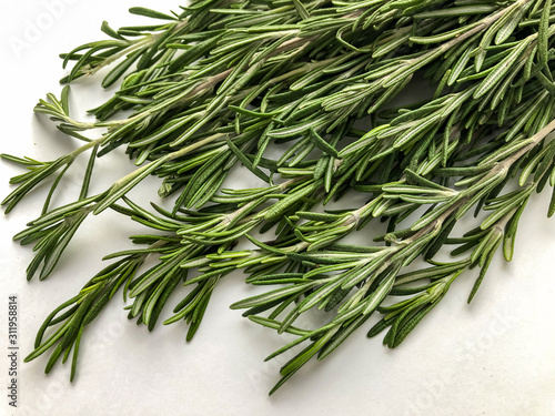 Fragrant fresh rosemary on a white background.