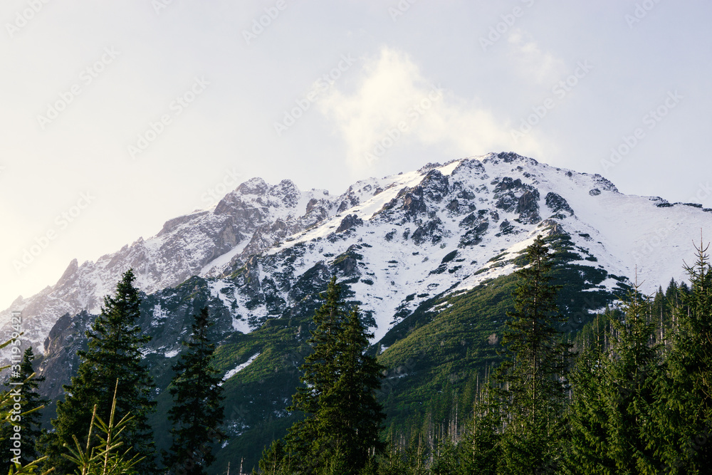 Fototapeta premium Panoramic view of summer landscape in the Alps mountains