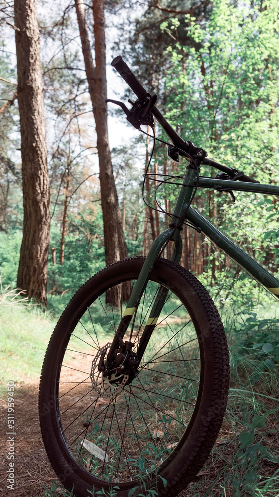 Fototapeta premium bike
