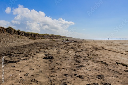 Ocean beach with blue skies and beach grasses.