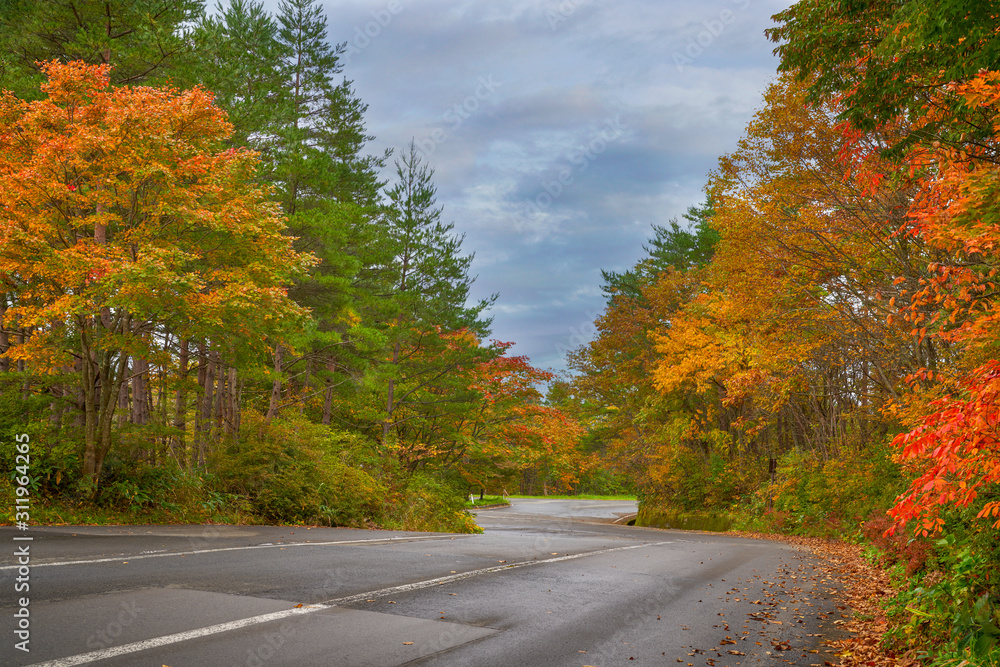 azuma bandai skyline road way along with autumn colorful leaf tree in fukushima azuma bandai skyline road way along with autumn colorful leaf tree in fukushima