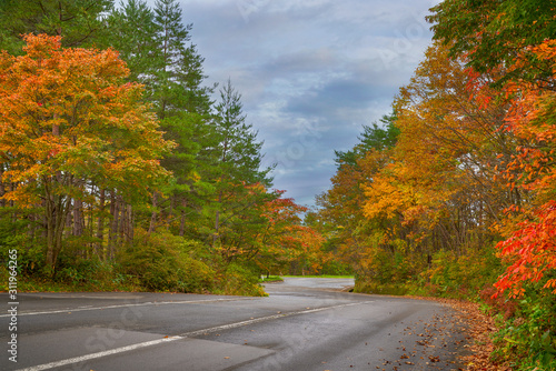 azuma bandai skyline road way along with autumn colorful leaf tree in fukushima