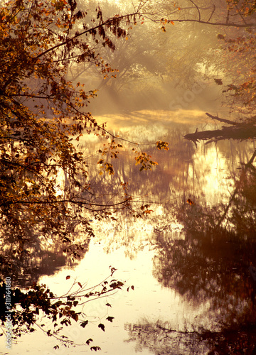 creek early morning light © Lynn Freeny