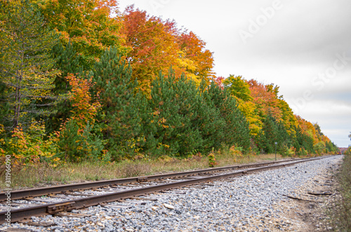 Fall along the Tracks