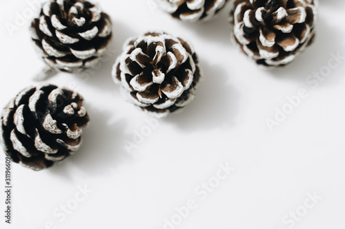 pine cones on a white background, New Year decorations