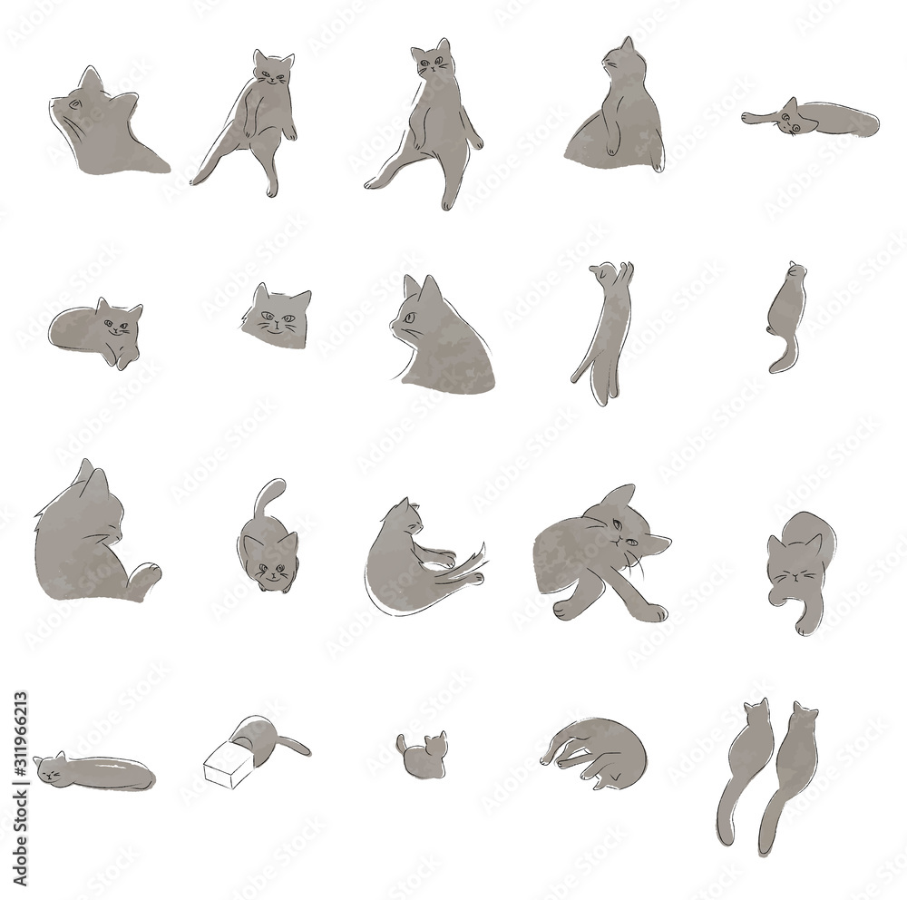 Obraz Ręcznie rysowane zestaw ilustracji kota