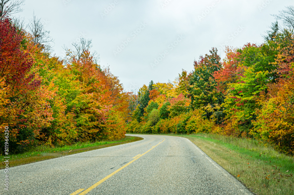 Fall foliage along a deserted road Fall foliage along a deserted road