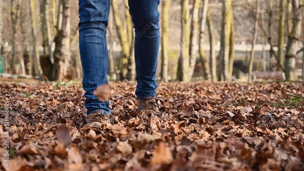 Playful man kicking up a pile of colorful leaves during a walk through the idyllic park in fall. Man walking along path full of tree leaves. Slow motion, low angle . Playful man kicking up a pile of colorful leaves during a walk through the idyllic park in fall. Man walking along path full of tree leaves. Slow motion, low angle .