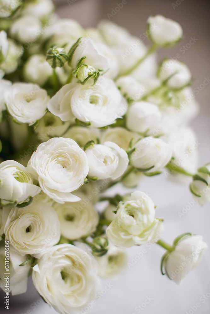 Lots of white ranunculi to create a bouquet. Education. Florist communication with customer in the workshop in the studio with flowers. Lots of white ranunculi to create a bouquet. Education. Florist communication with customer in the workshop in the studio with flowers.