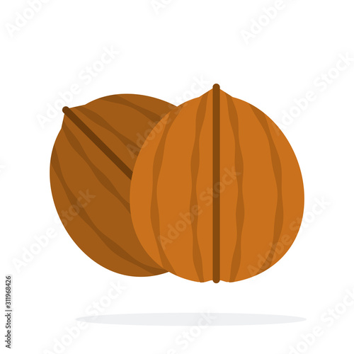 Walnuts in shell vertically flat isolated
