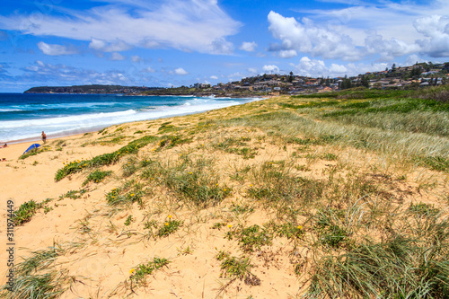 Sand dunes on the beach at Curl Curl