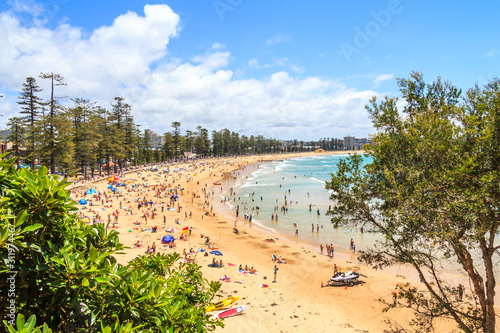 Εκτύπωση καμβά People sunbathing and enjoying Manly beach