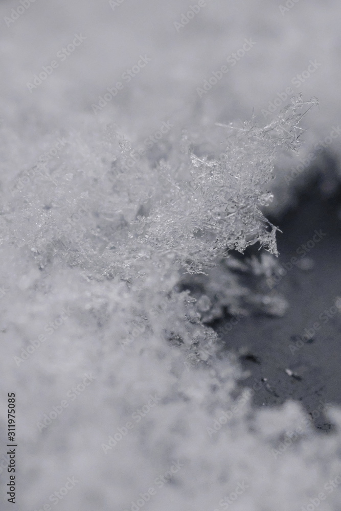 雪の結晶 雪の結晶