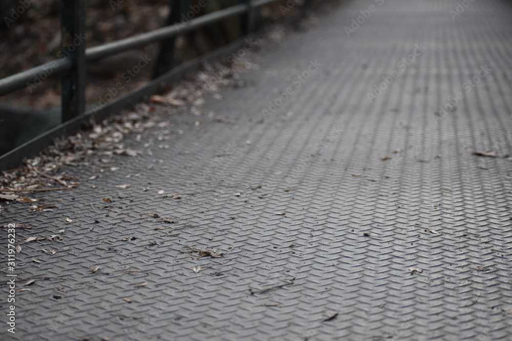 Obraz premium Winter Bridge