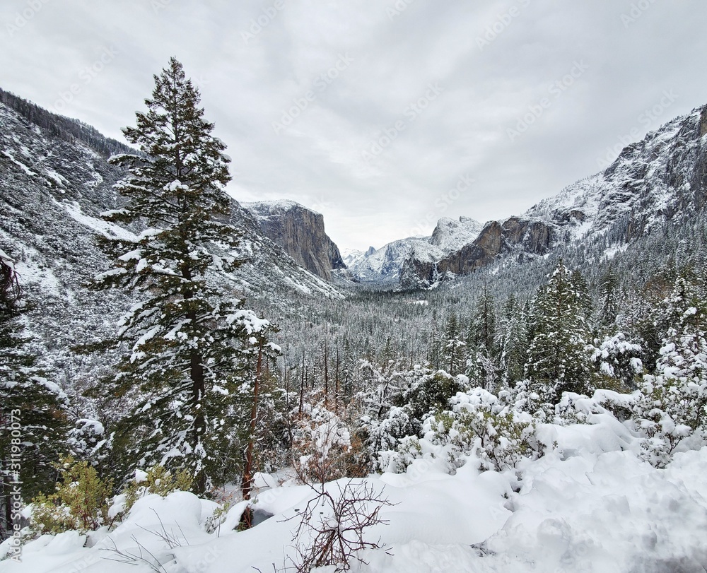 winter in the mountains winter in the mountains