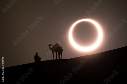 Annular solar eclipse in desert with a silhouette of a dromedary camel. Liwa desert, Abu Dhabi, United Arab Emirates.