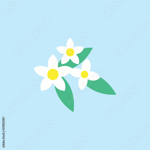 Jasmine flower icon design template vector isolated