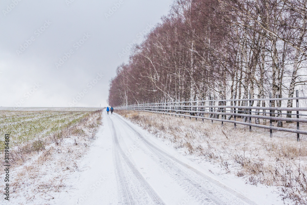 Obraz premium Snowy road along the field