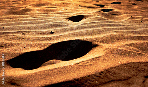 A Footprint in the Sand