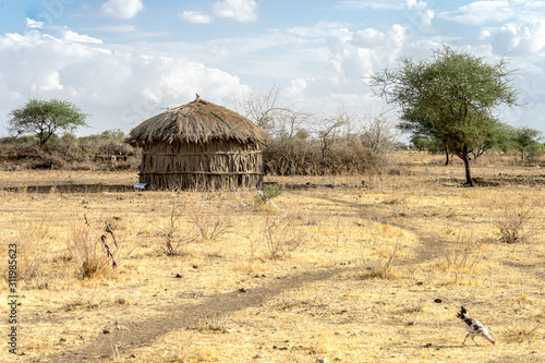 Typical Maasai hut, Tanzania photo