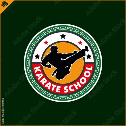 Karate high kick emblem. Martial art colored simbol design. Vector, EPS.
