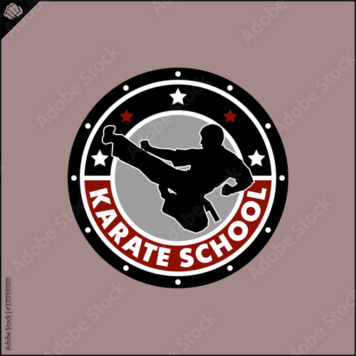 Karate high kick emblem. Martial art colored simbol design. Vector, EPS.