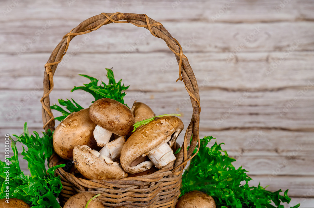 Brown portobello mushrooms in wicker wooden basket with grass decoration. Brown portobello mushrooms in wicker wooden basket with grass decoration.
