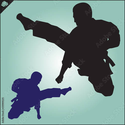 Karate high kick emblem. Martial art colored simbol design. Vector, EPS.
