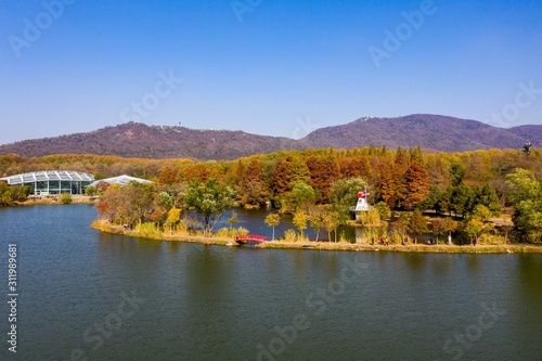 Aerial View of Zhongshan Botanical Garden in Nanjing City