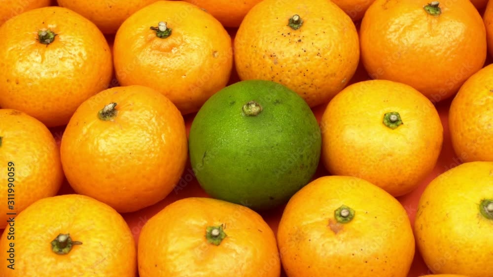 Small juicy orange tangerines close-up. Single grained mandarin among orange. Not like everyone else. A lot of juicy fruits on a bright background. Small juicy orange tangerines close-up. Single grained mandarin among orange. Not like everyone else. A lot of juicy fruits on a bright background.