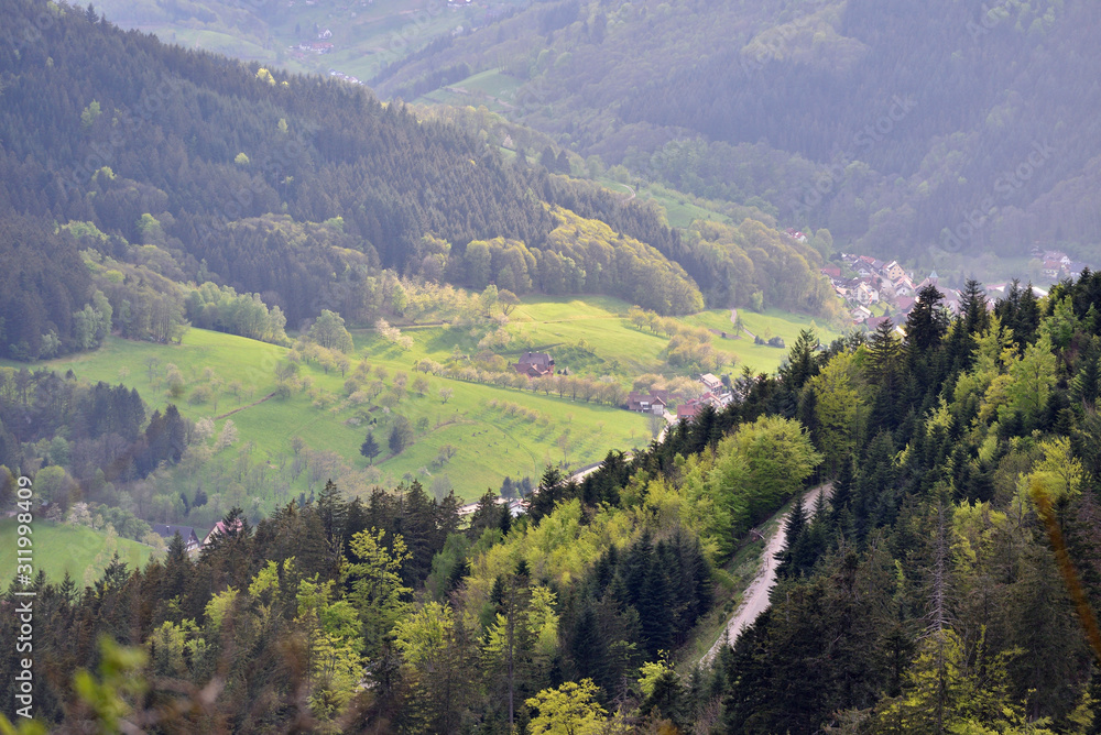 Picturesque landscape, a road on a mountainside overlooking a valley with houses in the German Forest Schwarzwald, European nature. Text space