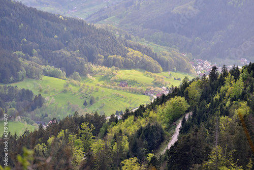 Picturesque landscape  a road on a mountainside overlooking a valley with houses in the German Forest Schwarzwald  European nature. Text space