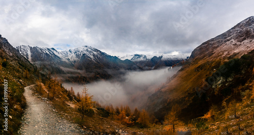 Autumn colors seen in Alps