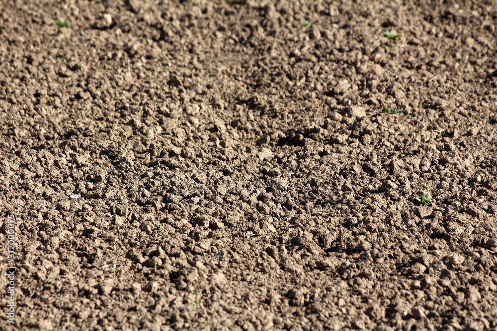 Background texture of freshly plowed field after using harrows on warm sunny autumn day Background texture of freshly plowed field after using harrows on warm sunny autumn day